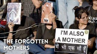 UFCI Mother’s Day Vlog | The Forgotten Mothers