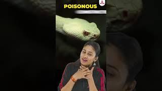 Difference between Poisonous and Non-Poisonous Snakes #phylumchordata #animalkingdom #neet2025