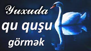 Yuxuda qu quşu görmək  Qısa #yuxuyozma - SƏSLİ YUXU YOZMALARI