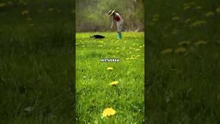 Instagram vs Reality #instavsreality #homestead #couple #instagram #diy #cats #flowers #funny #fyp