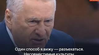 Жириновский про культурные различия