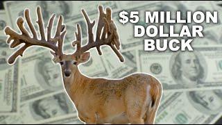 Multi Million Dollar Buck at Blackjack Whitetails