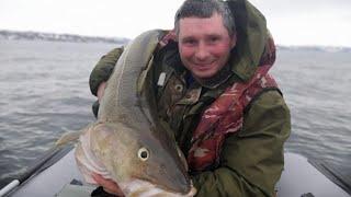 РЫБАЛКА В БАРЕНЦЕВОМ МОРЕ. ТРЕСКА.  УРА - ГУБА. "FISHING IN THE BARENTS SEA. COD."