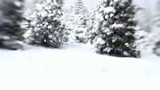 A Winter's Drive