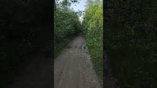 Левашово
