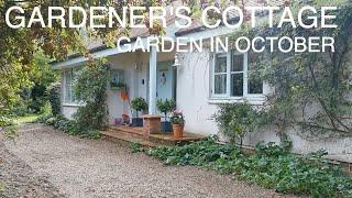 Gardeners Cottage Blakeney Garden Tour