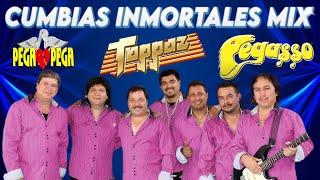  Toppaz, El Pega Pega, Pegasso Cumbia Grupera Mix Exitos Inolvidables 