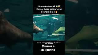 #киномания#ужасы#кинофильмы#лучшиеужасы #кинотоп#кинофильмы#фильмнавечер#топфильмы