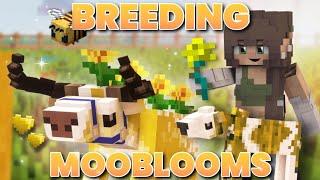 BREEDING THE CUTEST MOOBLOOMS | Genetic Animals Minecraft