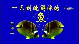 張雨生  《一天到晚游泳的魚》 魚不停游  從來不想回頭 不問天長地久  ...  *•