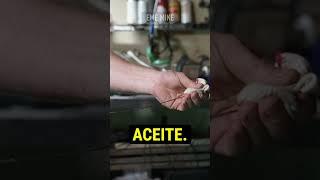 El aceite correcto para tu motor