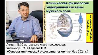 Клиническая физиология эндокринной системы мужского пола