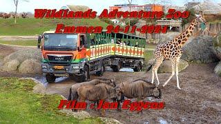 Wildlands Adventure Zoo Emmen 24 11 2024