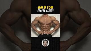 기회의 창