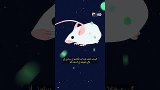 Being in space can affect kidneys?  | Geo Digital and DW Urdu