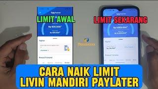 Naik Limit Mandiri Livin Paylater