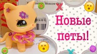 LPS: МЕГА-посылка с Aliexpress. Новинки! Распаковка и обзор!