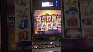 gambling at red hawk casino Buffalo  classe slot machine bonus video 4