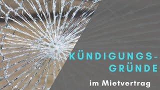 Kündigungsgründe im Mietvertrag