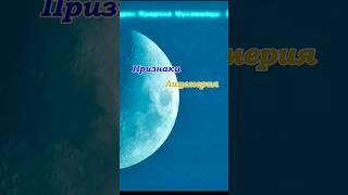 Как распознать лицемера: уроки из хадисов #хадис #хадисы#коран #ислам #сура #хадисыпророкамухаммадаﷺ