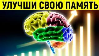 10 Простых Правил, Которые Улучшат Вашу Память На 97% | Смотри и Знай