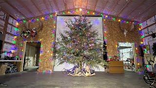 HUGE 16ft DIY Alaskan Christmas Tree