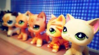 Новая РАСПАКОВКА lps Littlest Pet Shop | Hasbro стоячки!!!