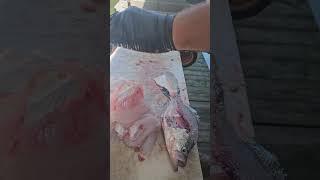 How To Clean Crappie