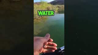 DO baits even matter? #bassfishing