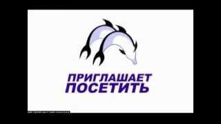 Спортивно оздоровительный комплекс Дельфин