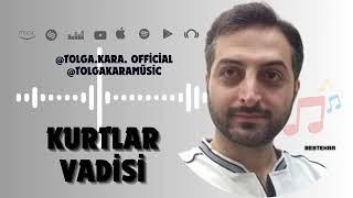 TOLGA KARA - KURTLAR VADİSİ (official music video)