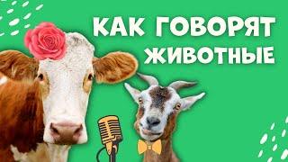 Звуки животных Корова Лошадь Домашние животные для детей Как говорят животные