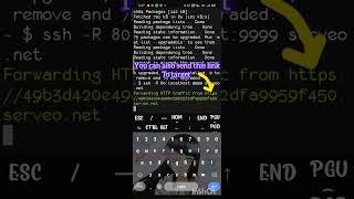 termux phishing tool zphisher in 2024 work%100