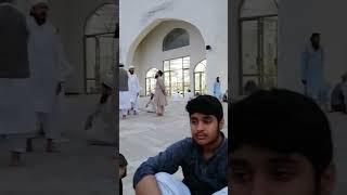 #islam #respect #shorts #short #muslim