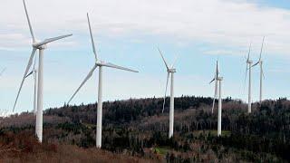 Problems with wind farms ‘swept under the carpet’