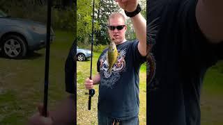 Fishing at American lake. #viral #tiktok #youtubeshorts #reels #fishing #pnw #fun #fyp #video #fish