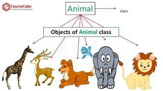 CLASS AND OBJECT WITH EXAMPLE IN REAL WORLD