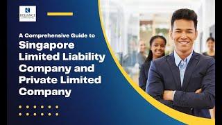 A Comprehensive Guide to Singapore Limited Liability Company and Private Limited Company