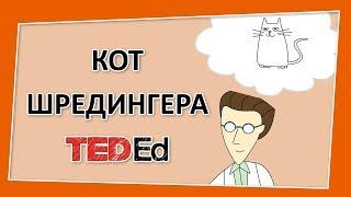  Кот Шредингера [Ted-Ed на русском]