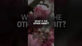 TWO HABITS WILL TAKE YOU TO JANNAH