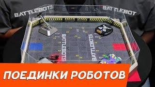 Набор Hexbug «Поединки роботов – Ближний бой Арена», Хексбаг