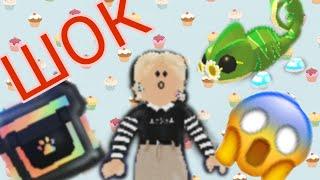 ОТКРЫВАЮ RGB БОКС В АДОПТ МИ/ ШОК/  #адоптмироблокс #адоптми #боксывадоптми