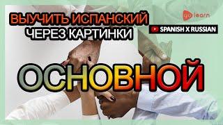 Выучить испанский через картинки |испанский словарь основной | Golearn