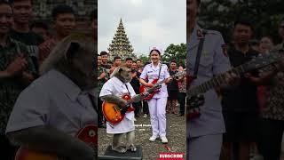 Viral Monyet Main Gitar Bersama Perawat Cantik #empudstudio #empudstudiogrup #shorts