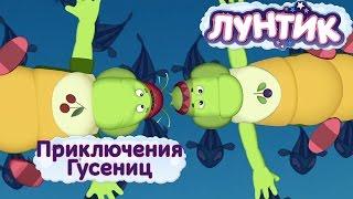 Лунтик - Приключение Гусениц. Мультики 2017