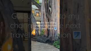 Excited to show you guys the whole video #traveling#nature#video#shortsvideo#shorts