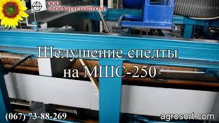 Шелушение спельты на МШС 250 / Peeling spelled on SSSM 250