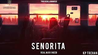 Senorita (Official audio) - Real MJD x Neeb | True Rebellion Music | Latest Punjabi Song 2025