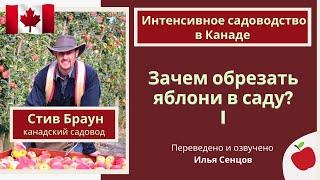 Зачем обрезать яблони в интенсивном саду? (Стив Браун, Канада)