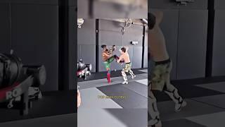 Жесткий спарринг! Раха Андийский vs Алджамейн Стерлинг Как вам? #shorts #popmma